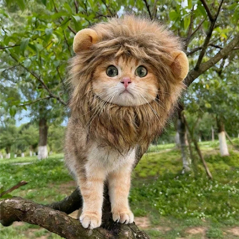 1pc Cute Funny Pet Clothes Cap Cute Cat Wig Lion Mane Costume Cosplay Kitten Dog Hat with Ears,suitable for Fancy Party Supplies