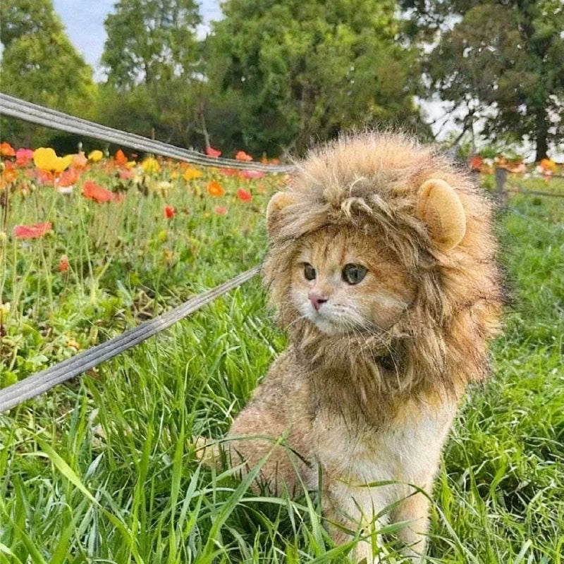1pc Cute Funny Pet Clothes Cap Cute Cat Wig Lion Mane Costume Cosplay Kitten Dog Hat with Ears,suitable for Fancy Party Supplies